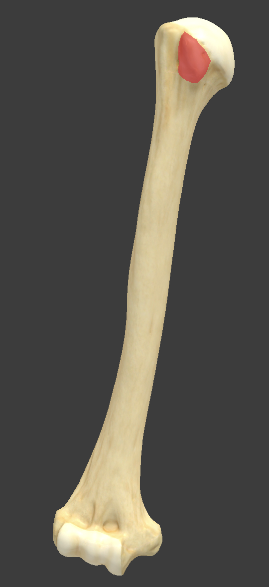 <p></p>