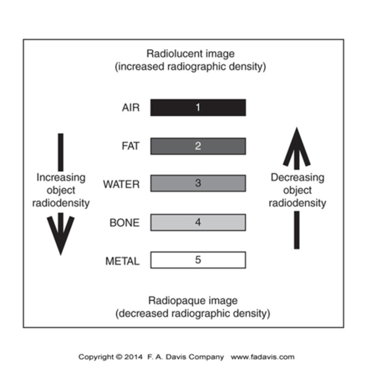 <p>- Air (black)</p><p>- Fat (Gray-Black)</p><p>- Water: (Gray) All soft tissue and fluids (blood, muscles, nerves, cartilage, tendon, and ligaments)</p><p>- Bone (White)</p>