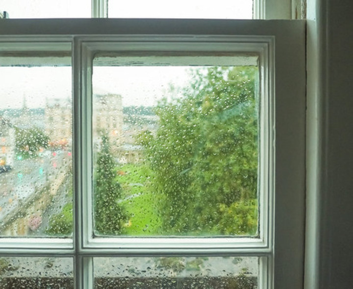 <p>One of the divisions of a window or door, consisting of a single unit of glass set in a frame</p>