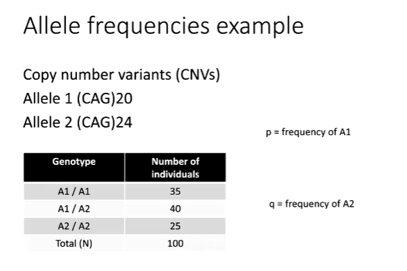 <p>What are the frequencies?</p>
