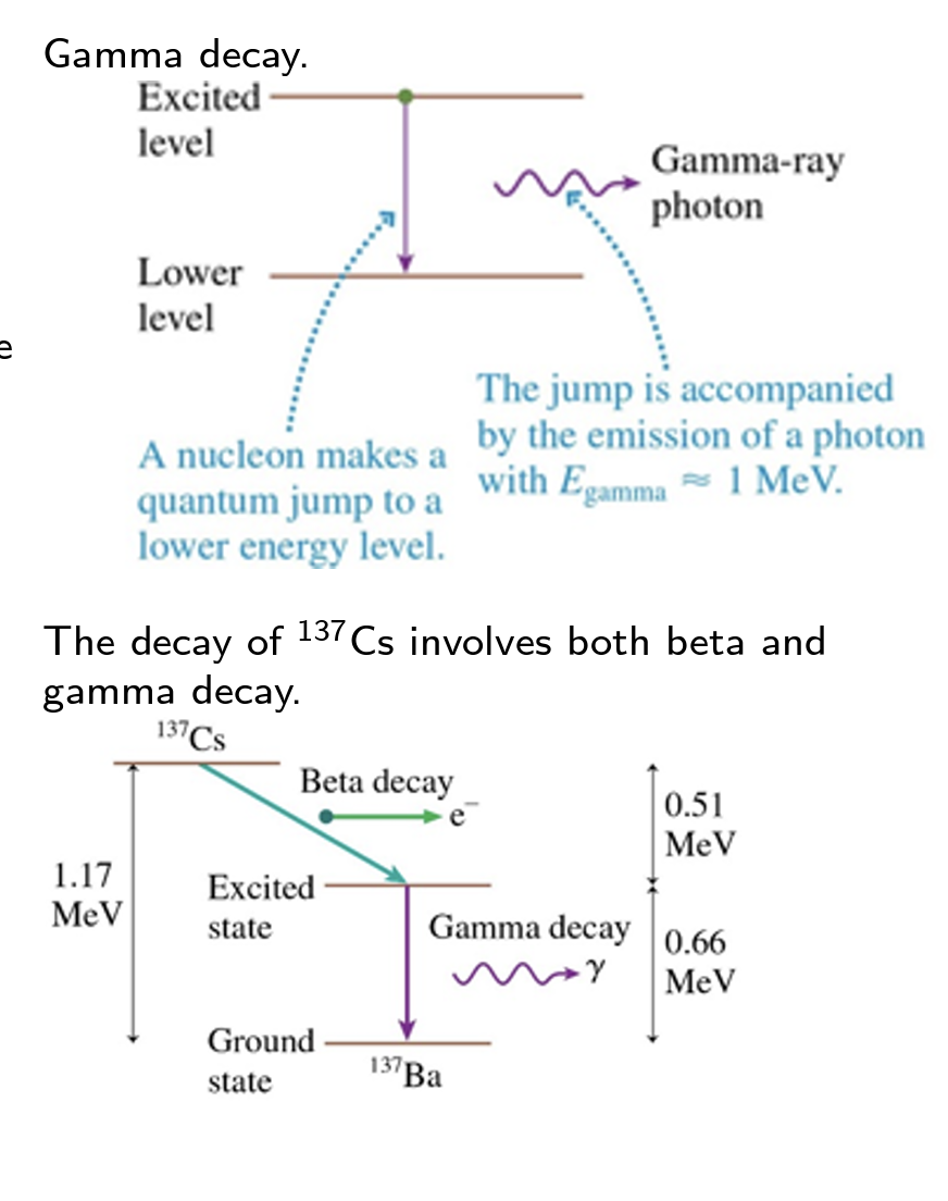 <ul><li><p>gamma </p></li></ul><p></p>