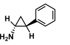 <ul><li><p>nonhydrazine amphentamine derivative&nbsp;</p></li><li><p>covalently binds with MAO-A and MAO-B&nbsp;(irreversible, nonselective binding) </p></li></ul><p></p>