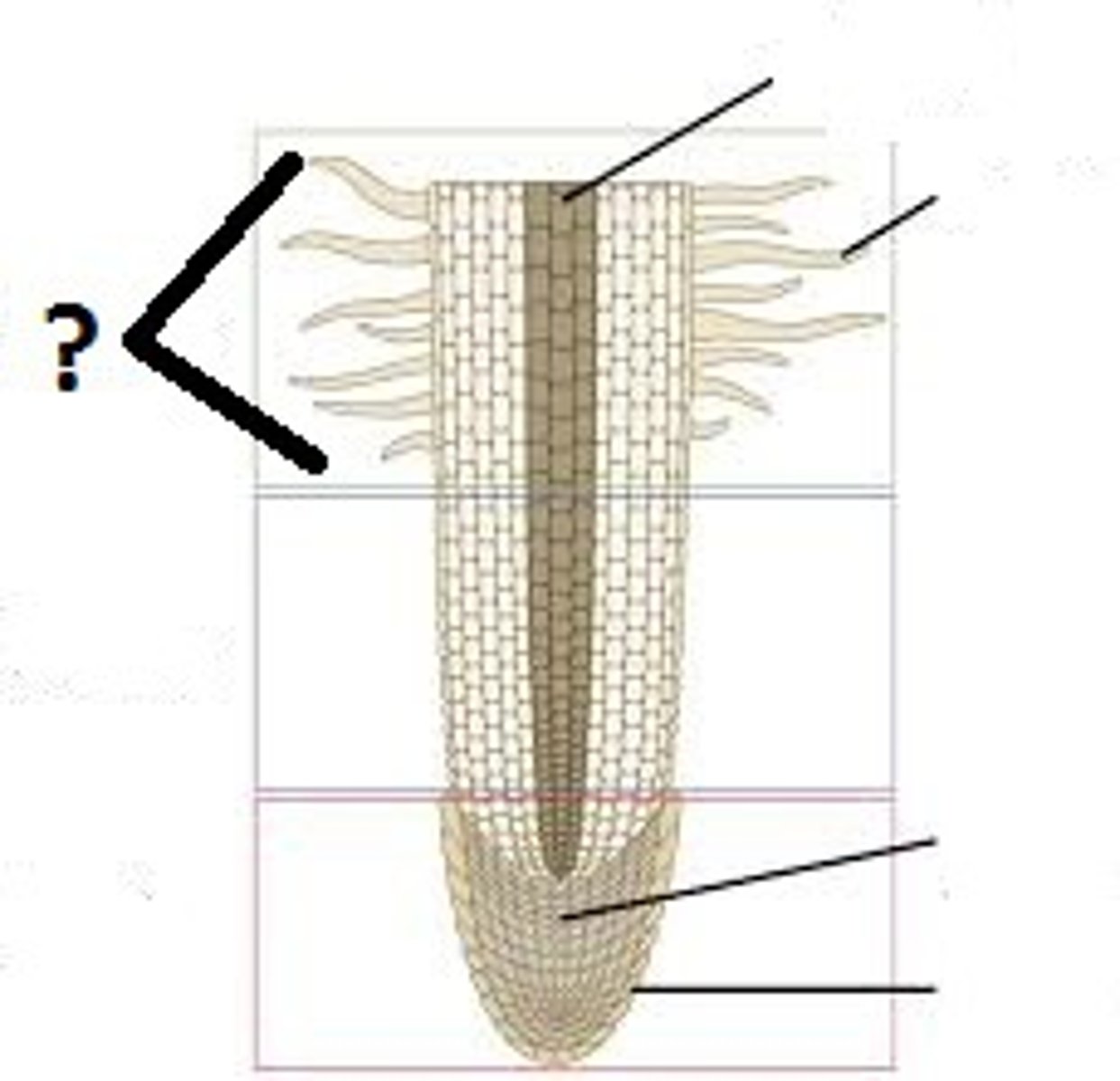 <p>Area at ?</p>