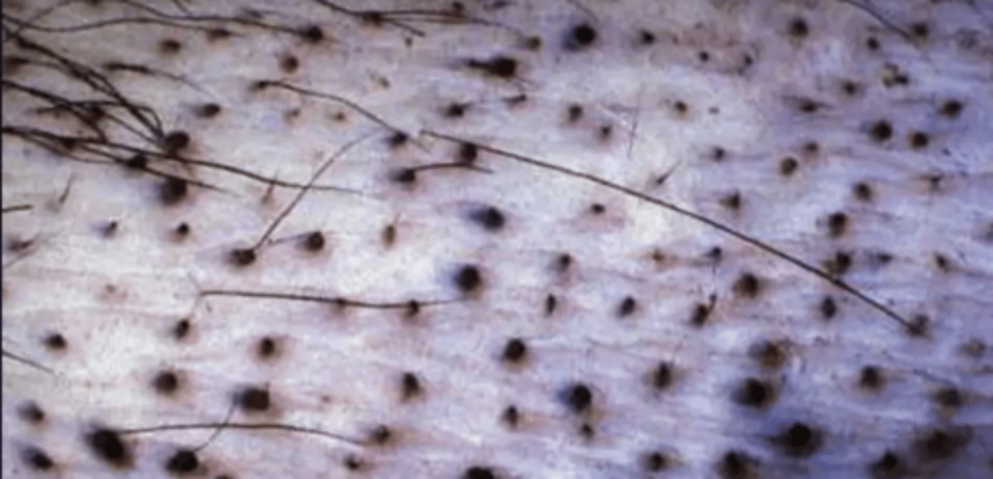 <p>what is this?</p>