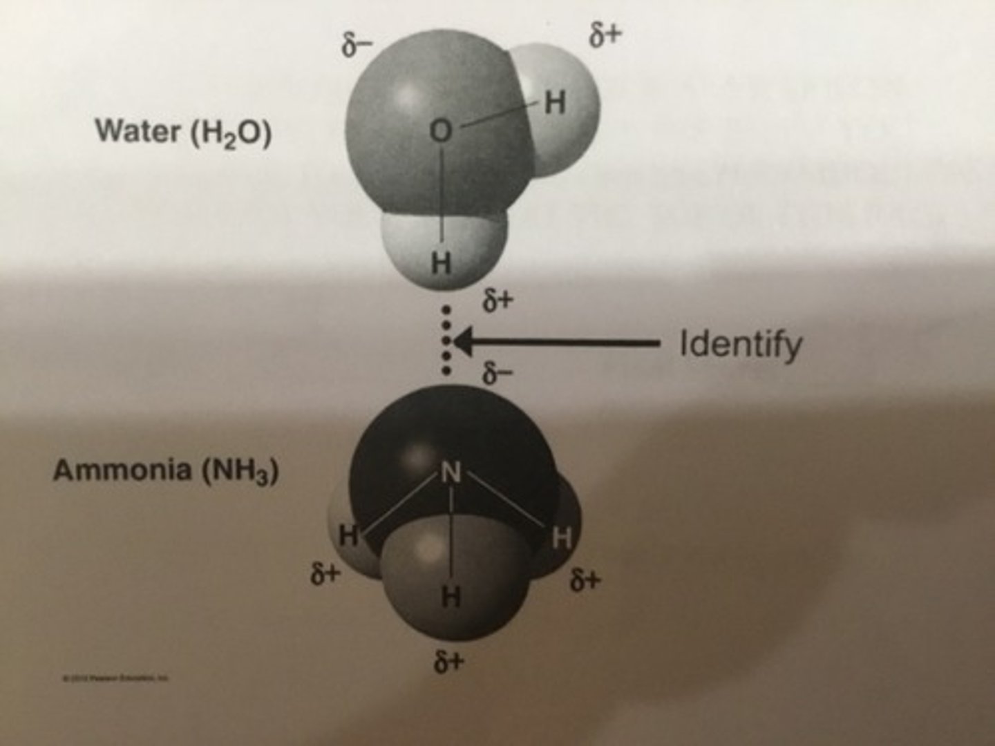 <p>What type of chemical bond is shown in this figure?</p>