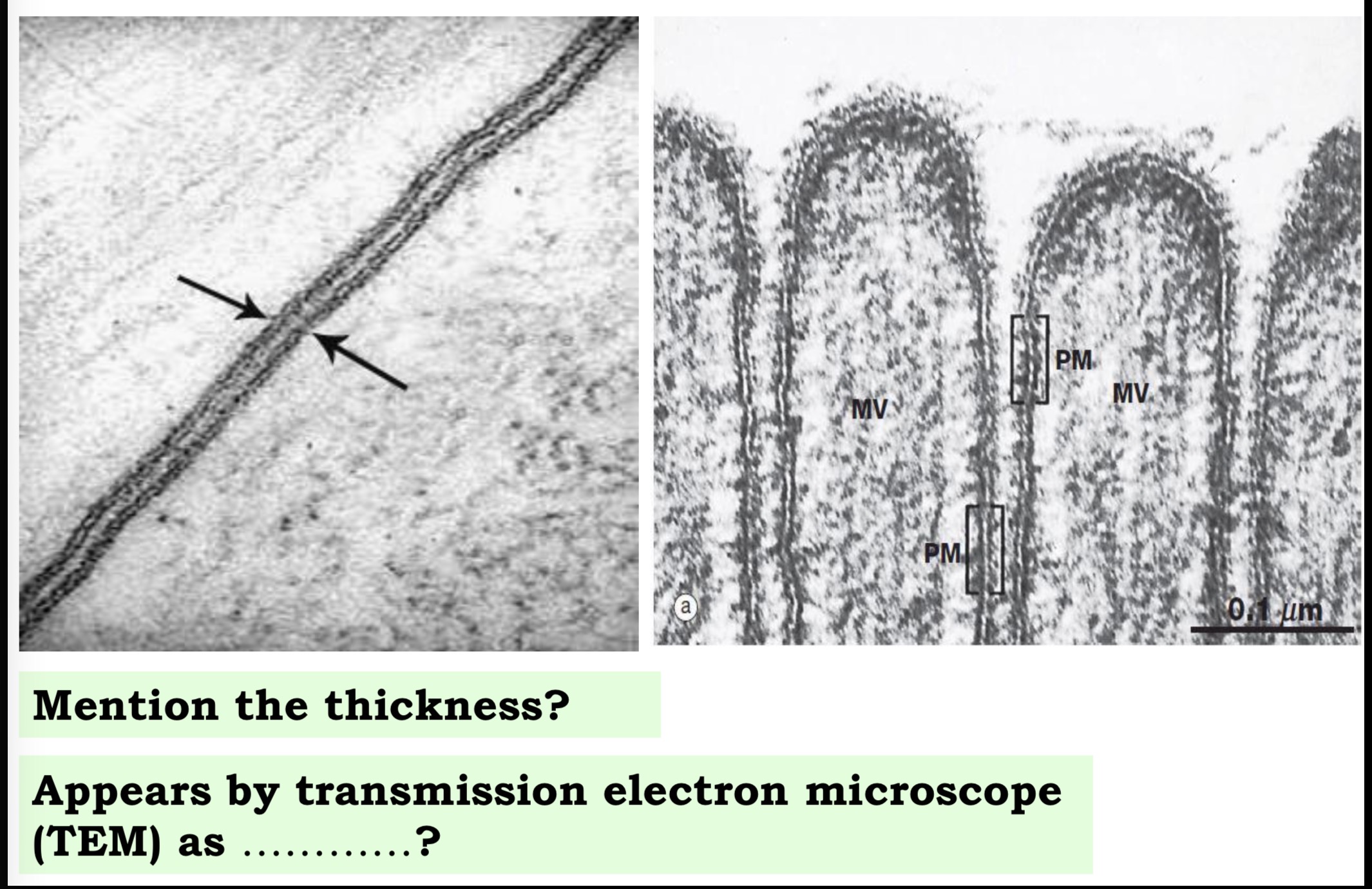 <p>Answer the questions in these following pictures</p>