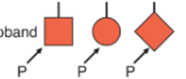 <ul><li><p>individuals affected by a genetic condition or who is concerned they are at risk</p></li><li><p>Usually first person in a family to bring concern to healthcare professionals </p></li><li><p>Denoted by an arrow with a P</p></li></ul><p></p>