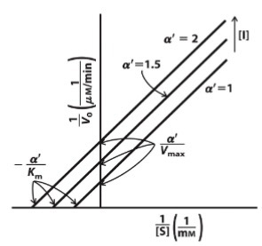 <p>Does not use substrate site (Hence entire slope shift); Higher slope = Stronger inhibition</p>