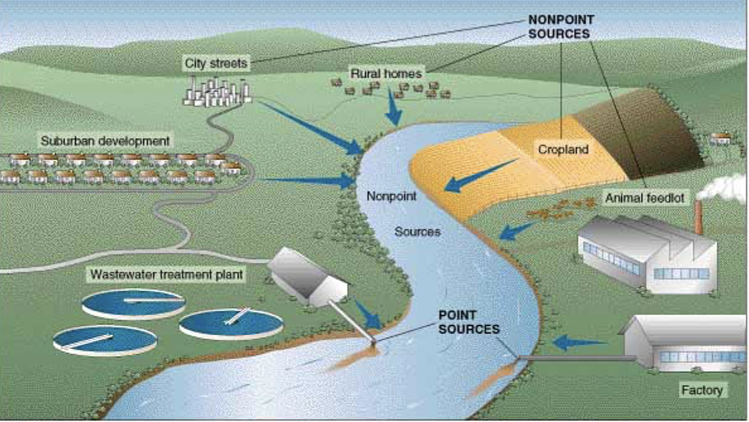 <p>Point sources:</p><ul><li><p>Sewage treatment plants</p></li><li><p>Water treatment plants</p></li><li><p>Factories</p></li></ul><p>Non point sources:</p><ul><li><p>City streets</p></li><li><p>Croplands</p></li><li><p>Animal feed lots</p></li></ul>