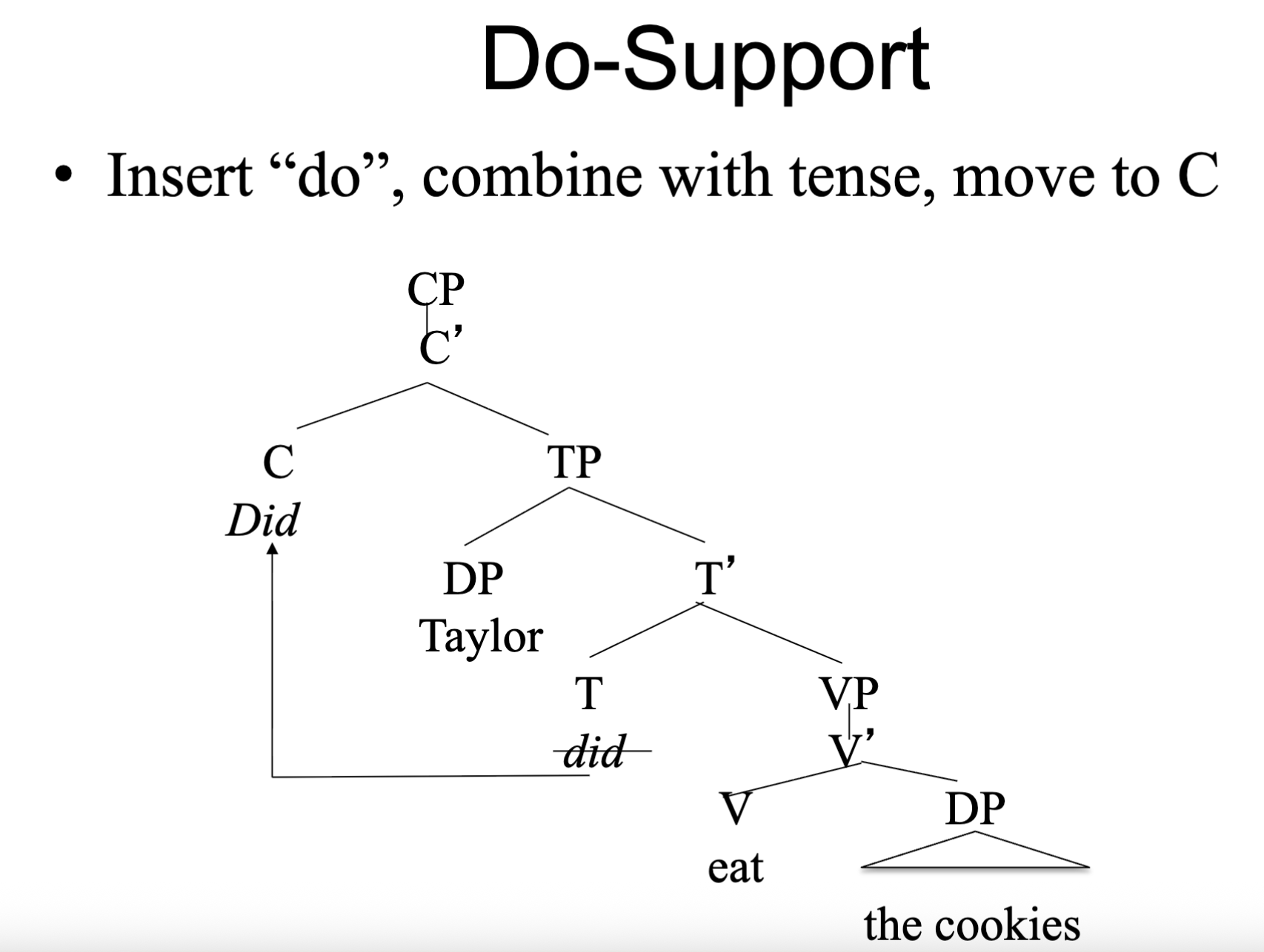 <p><span style="color: rgb(255, 255, 255);"><span><br>But what happens when there is no auxiliary</span></span></p><ul><li><p><span style="color: rgb(255, 255, 255);"><span>Deep structure: Taylor ate the cookies</span></span></p><ul><li><p><span style="color: rgb(255, 255, 255);"><span>We have to insert an auxiliary so we have something to move!</span></span></p></li></ul></li></ul><ul><li><p><span style="color: rgb(255, 255, 255);"><span>do-support: insert dummy auxiliary (“do”) and move it to C</span></span></p></li></ul><p></p>
