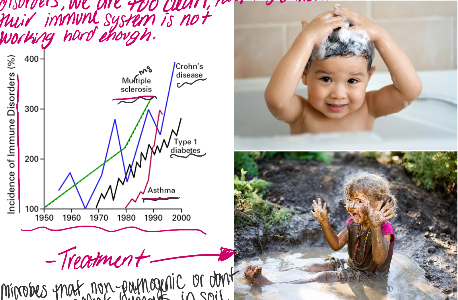 To explain why over time in developed countries we have increases immune disorders, we are too clean, keeping children too clean so their immune system is not working hard enough

\-Treatment= microbe that are non-pathogenic or don’t effect humans in soil