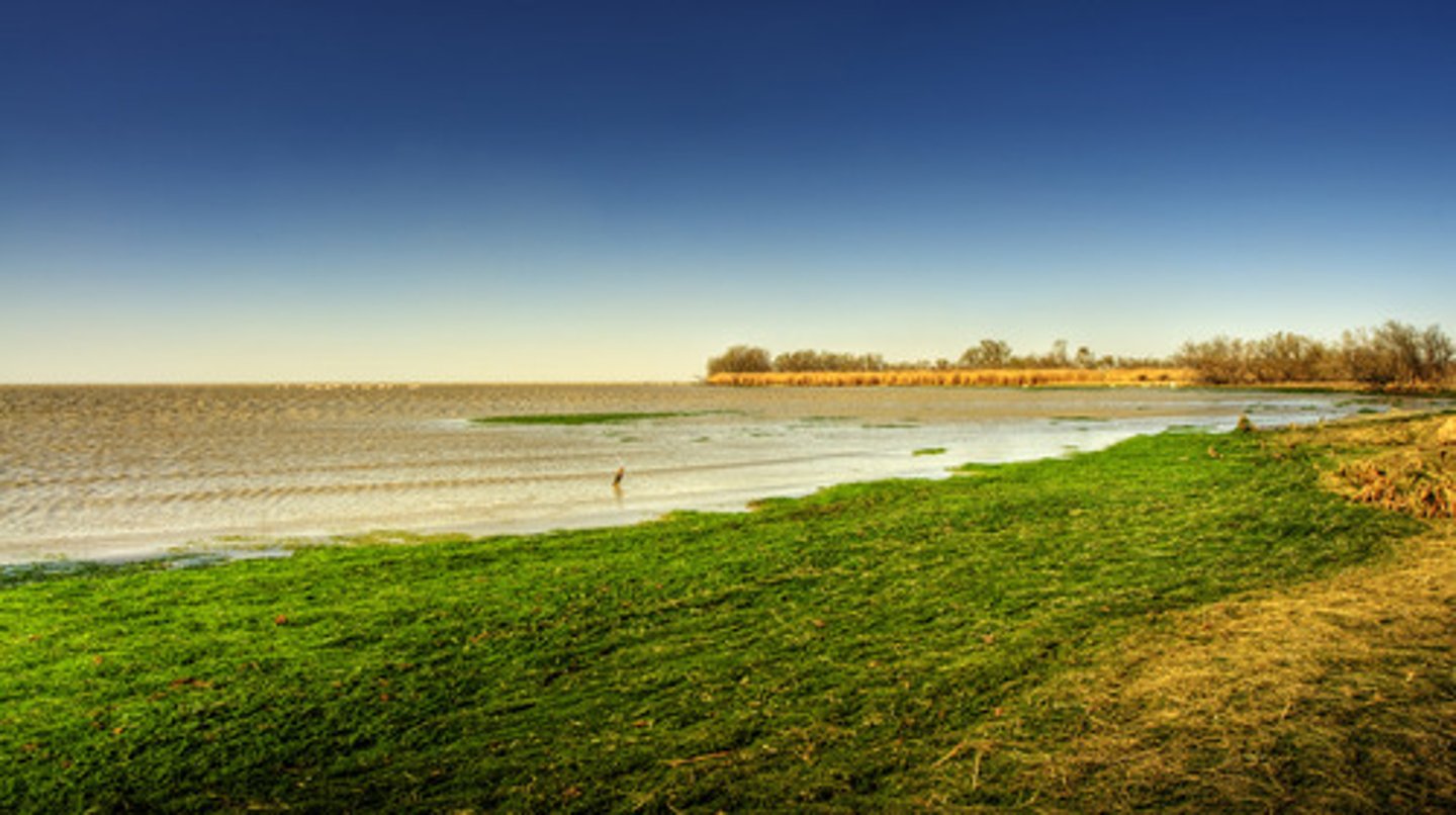 <p>This is the last section of a river's journey, here it is large and fast.</p>