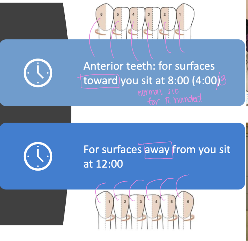 <ul><li><p>surfaces <strong>toward </strong>you when sititng at 8:00 (for R handed) </p></li><li><p>surfaces <strong>away </strong>from you when you sit at 12:00 </p></li></ul><p></p>