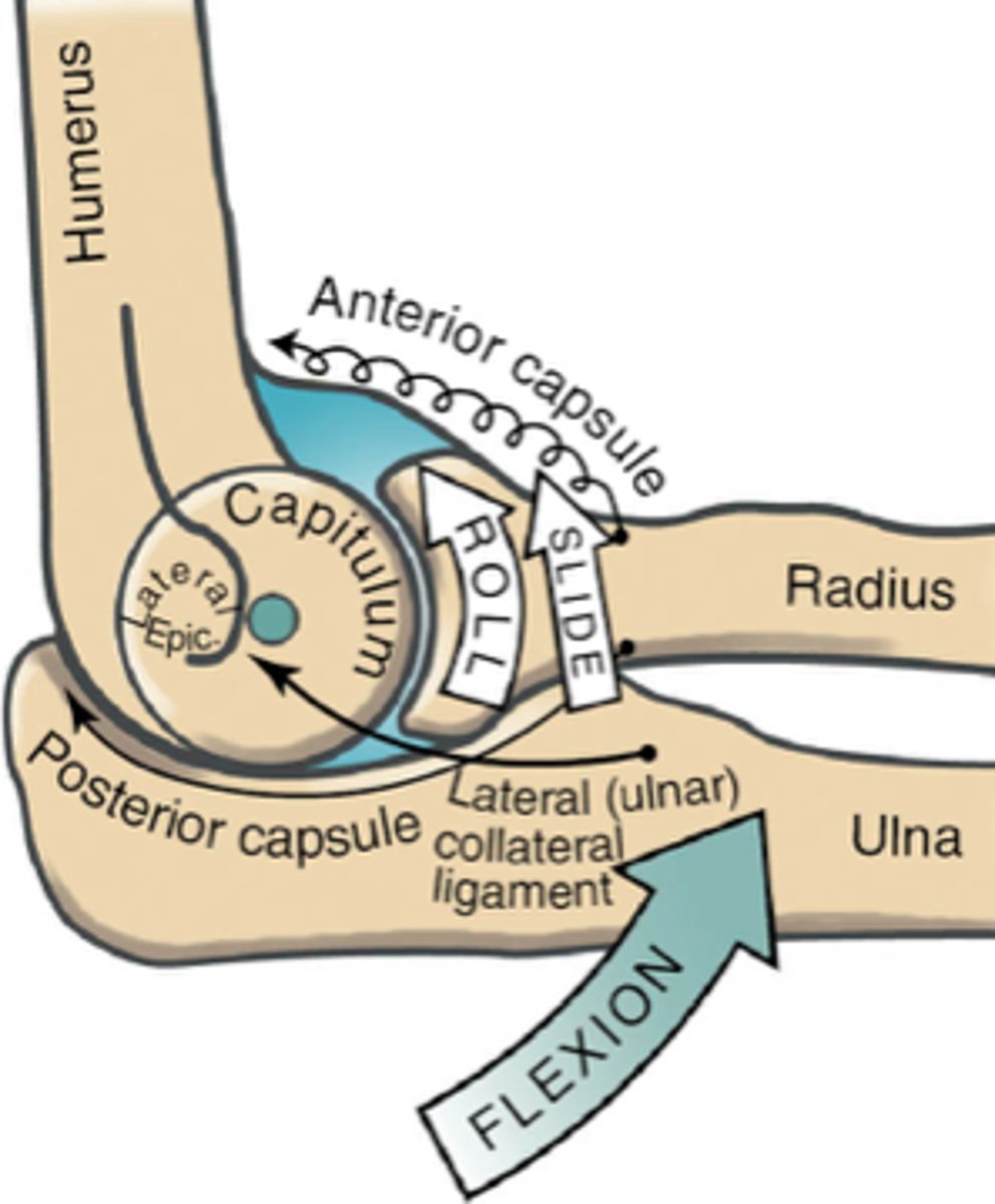 <p>Same roll and glide</p><p>To improve joint arthrokinematics perform:</p><p>Anterior for flexion</p><p>Posterior for extension</p>