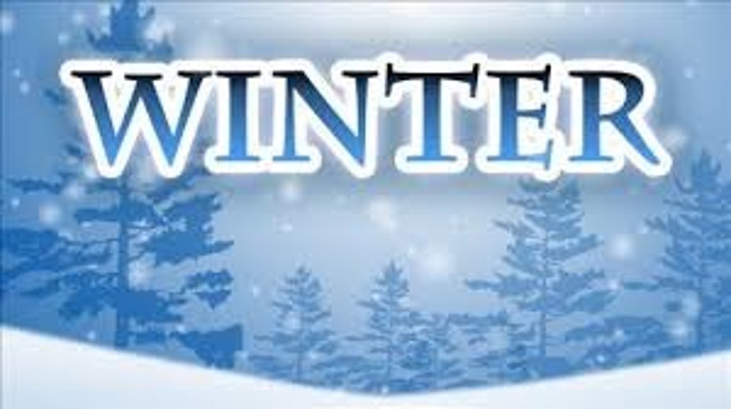 <p>winter</p>