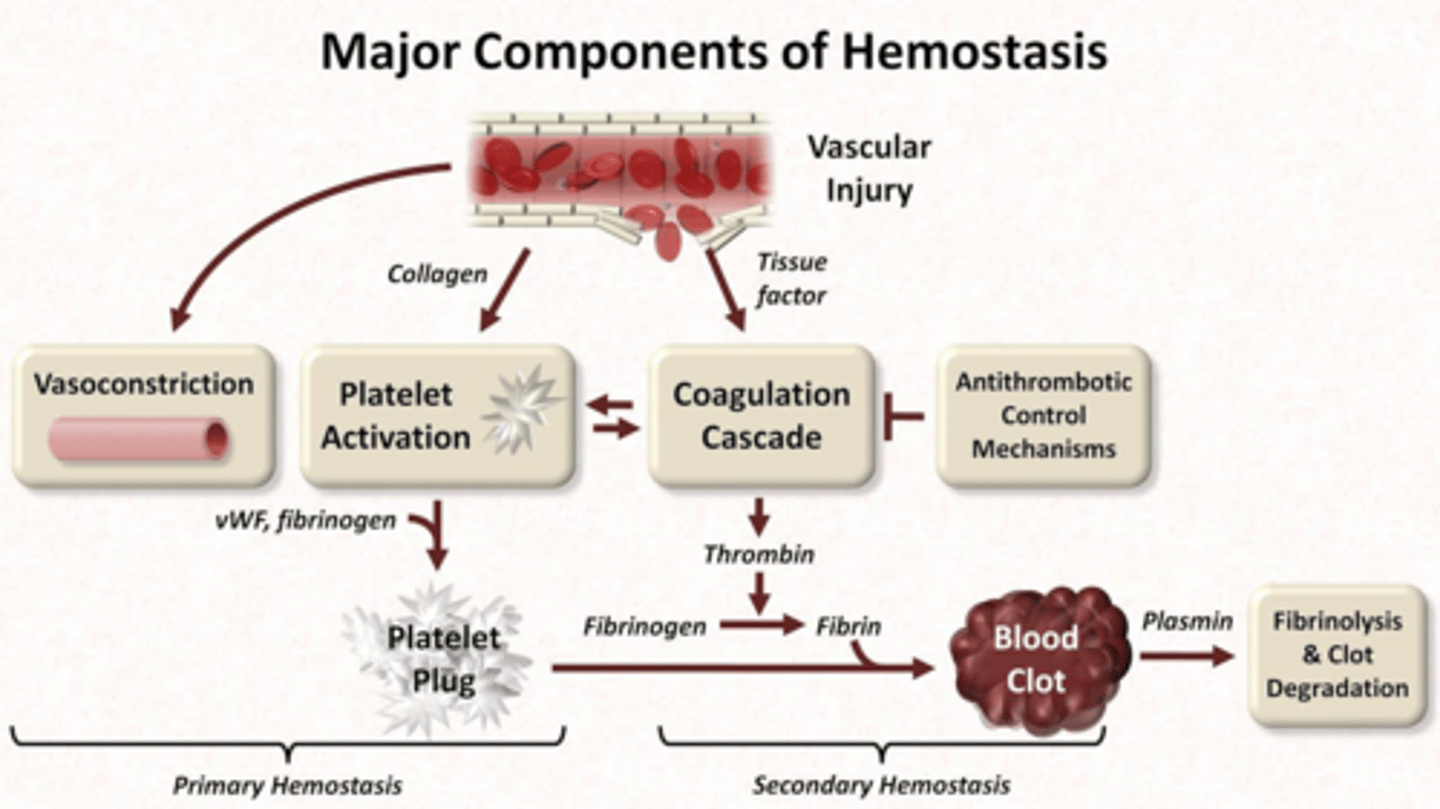 <p>It irreversibly inhibits COX-1 and COX-2, inhibiting platelet aggregation.</p>