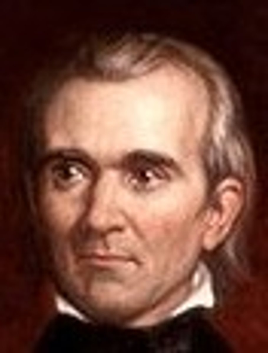 <p>Democratic- presided over the Mexican War</p><p>Oregon and California territories annexed to the U.S.</p>