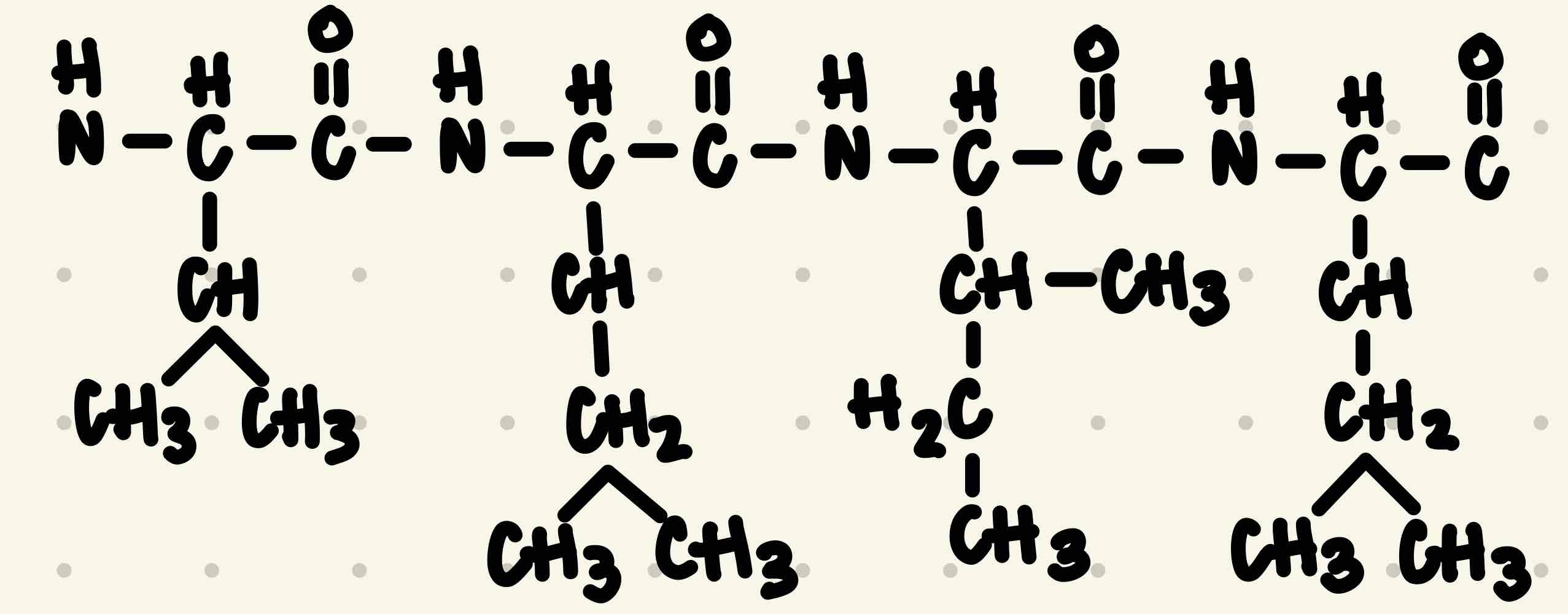 <p>Consider the portion of a protein shown here. </p><p>(a) circle all of the peptide bonds shown. </p><p>(b) If this portion of the molecule was in a alpha helical form, would it be able to be part of the protein that spanned the cell membrane? Why or why not?</p><p>(c) If this portion of the molecule was in a single beta strand, would it be able to be part of a protein that spanned the cell membrane? Why or why not?</p>