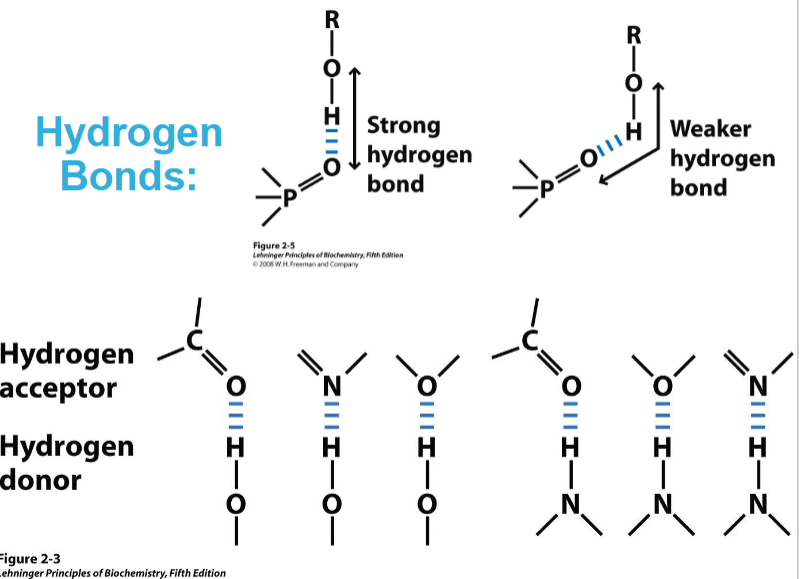 <ul><li><p>strong dipole-dipole or charge-sipole interaction that arises between and acid (proton donor) and a base (proton acceptor) </p></li><li><p>Hydrogen bonds are strongest when bonded molecules are oriented to maximise electrostatic interaction - ideally three atoms involved are in a line E.g. O-H - - - O= would be in a straight line and make a stronger H-bond than if it was at an angle. </p></li><li><p>O and N are hydrogen acceptors that can form hydrogen bonds </p></li></ul><p></p>