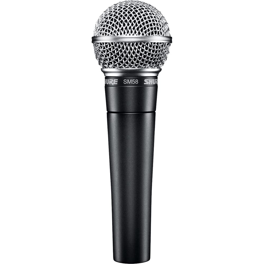 <p>What kind of microphone is this?</p>