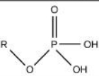 <p>Identify the functional group</p>