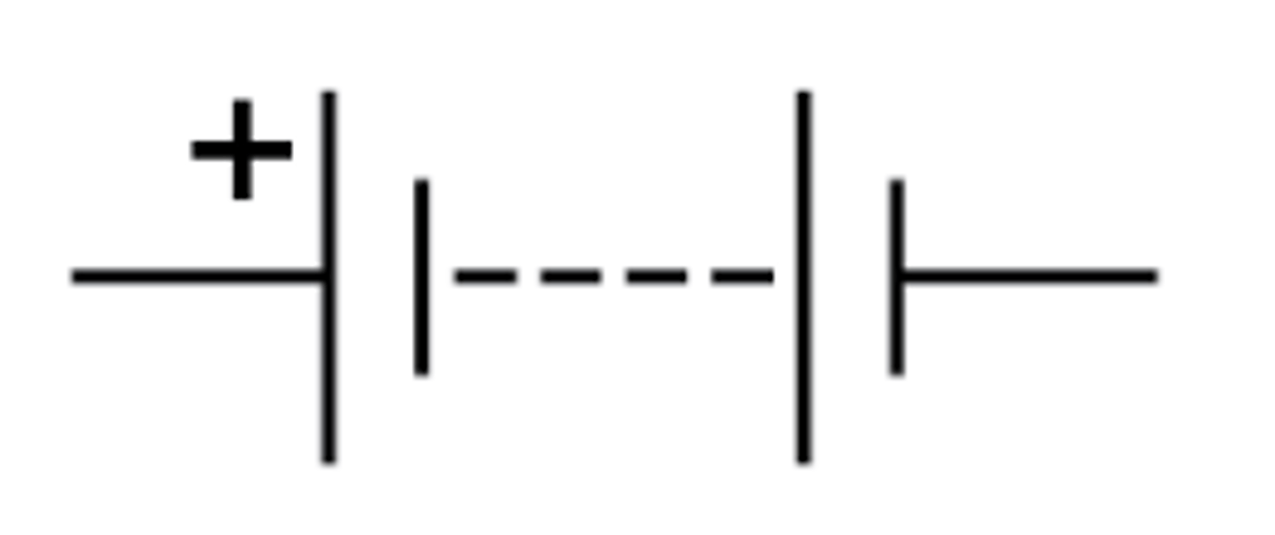 <p>Two or more cells connected together</p>