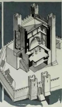 term image