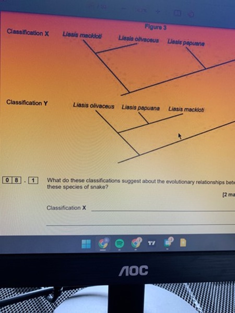 <p>State three comparisons of genetic diversity that the scientists used in order to generate classification Y. (3)</p>