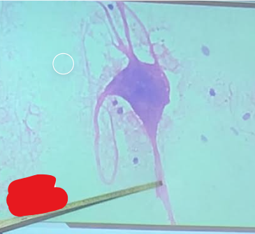 <p>Label This Part</p>