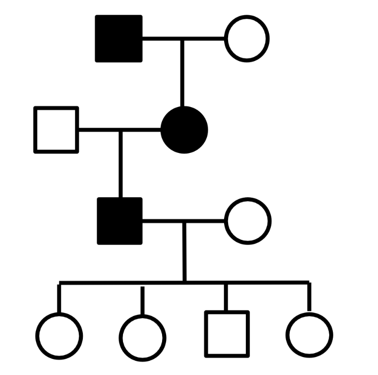 <p>Among the following options, what is the best evidence that the trait in this pedigree is autosomal dominant and not X-linked dominant?</p><ul><li><p>I-1 and III-1 are affected</p></li><li><p>II-2 is affected</p></li><li><p>III-1 is affected</p></li><li><p> IV-1 is unaffected</p></li><li><p>IV-3 is unaffected</p></li></ul><p></p>
