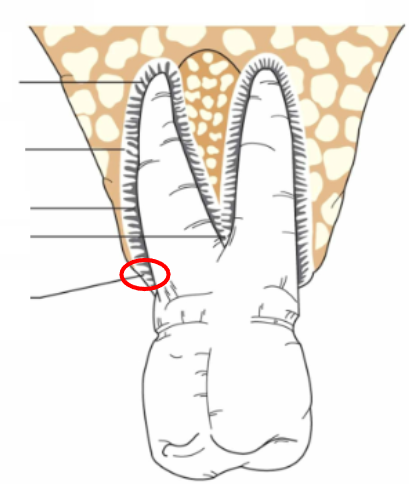 <p>What is this?</p>