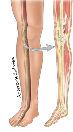 <p>section &amp; plane</p>