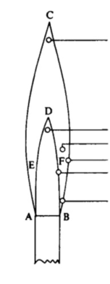 <p>Parts of flame</p><p>(Top to bottom)</p>