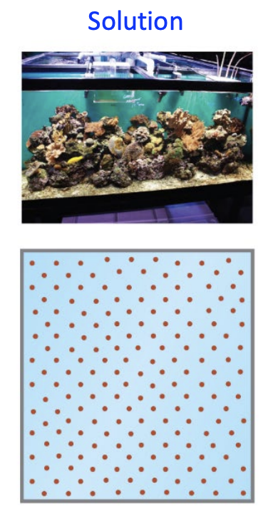 <p>Form when IMFs allow complete dissolution, resulting in a homogeneous mixture of single molecules or small clusters</p><p></p>