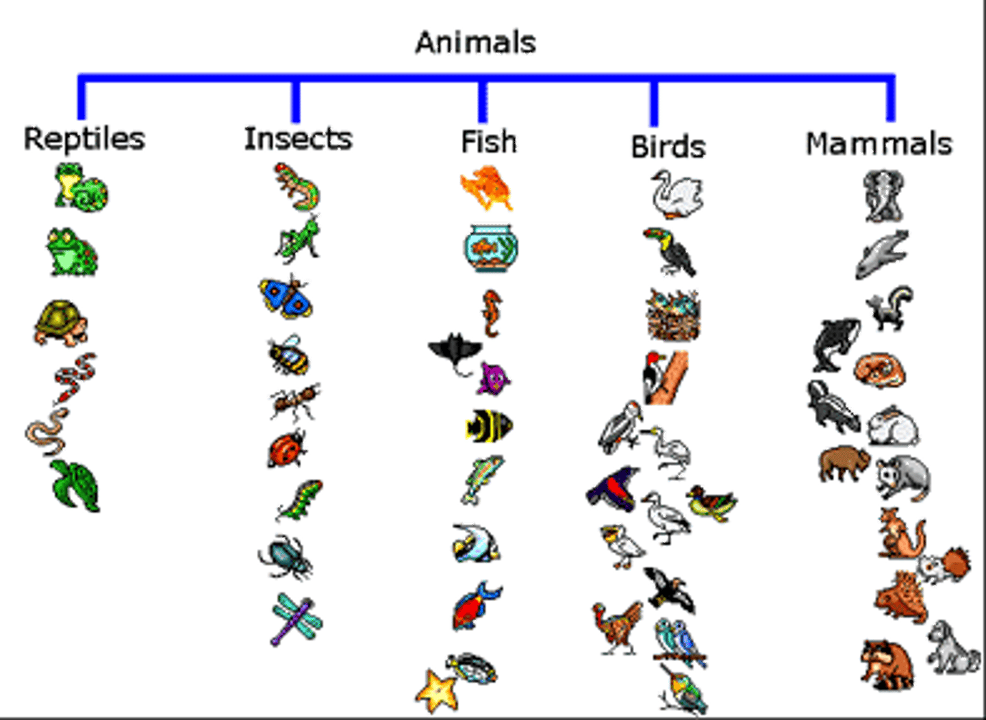 <p>Process of grouping items together that are alike in some way</p>