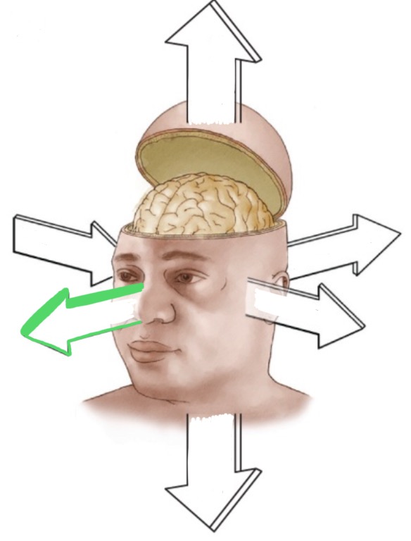 <p>In front of the face.</p>