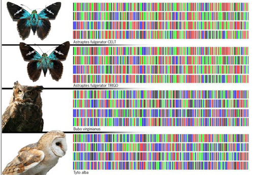 <p>all living things have DNA and share some similar DNA</p>