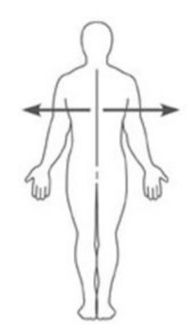 <p>farther from the mid-sagittal line</p>