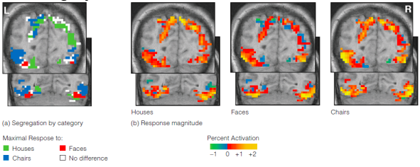<p>Used fMRI to image neural activation in humans resultant of presenting stimuli from three categories: houses, faces, and chair.</p><p></p><p>Image ‘a’ demonstrates differences in the location of maximal activation associated with each stimulus category.</p><ul><li><p>This is consistent with the idea of localization of function.</p></li></ul><p></p><p>Image ‘b’ demonstrates that each of these stimuli category activate widespread areas of cortex.</p><ul><li><p>This supports the idea of distributed representation.</p></li></ul><p></p>