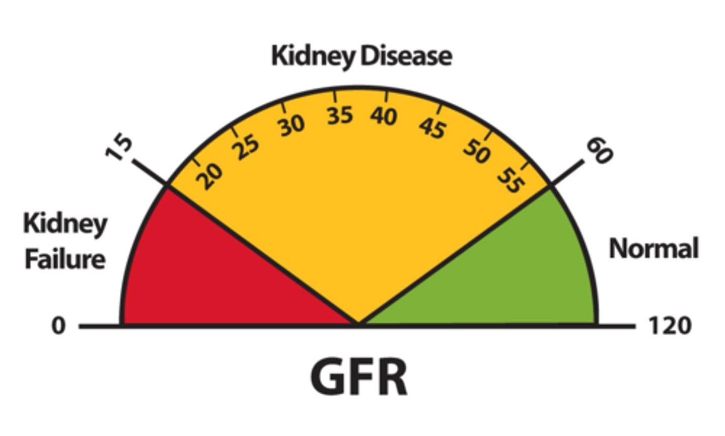 <p>- Low GFR indicates less effective blood filtration</p><p>- Creatinine level in the blood is used to estimate the GFR</p><p>- High creatinine level indicates kidney disease</p>