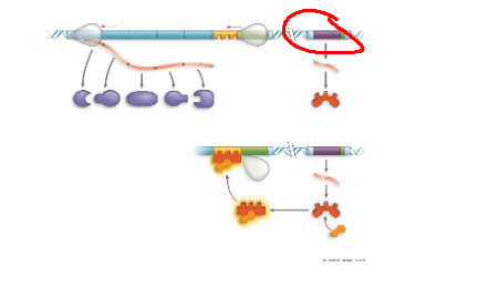 <p>What system + what structure</p>