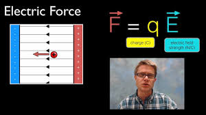 <p><em>"Electric fields whisper a push to any nearby charge—just multiply and feel the nudge."</em></p><p>Place a charge in a field—force pops out directly from the combo of q and E</p>