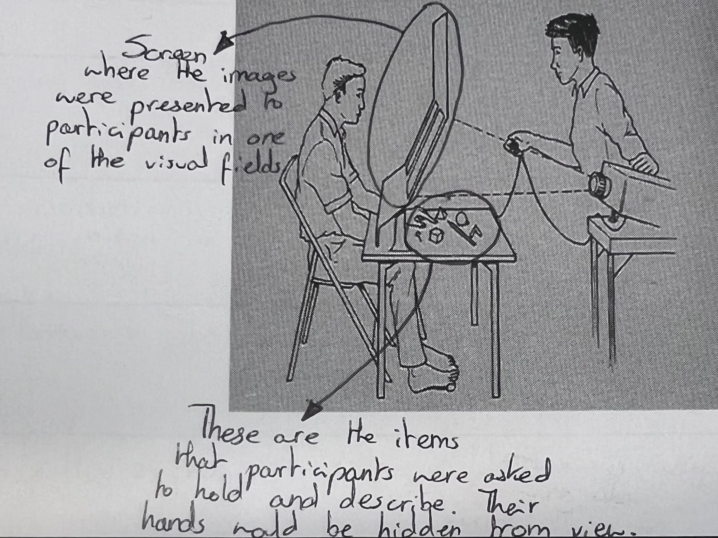 <p>It’s a piece of equipment that allows researchers to show participants images to only one of the visual fields in each eye. The images are presented for 0.1 seconds.</p>