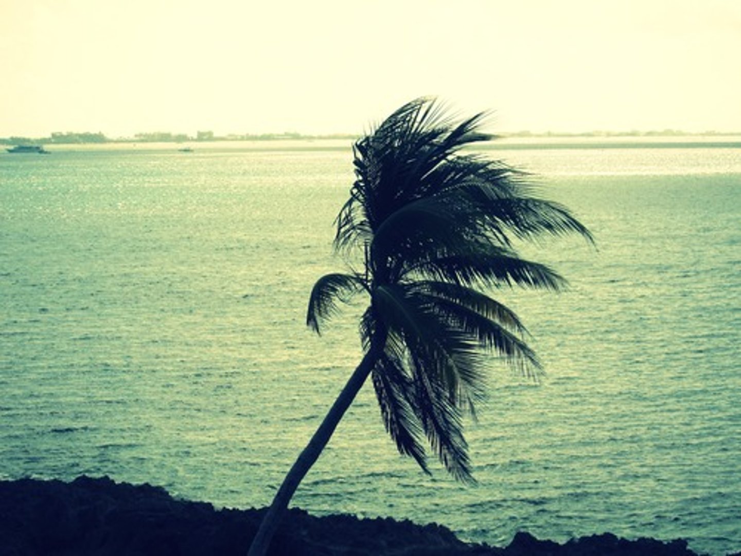 <p>This wind happens at night when cooler air over land flows toward warmer air over the ocean.</p>