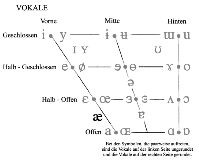 <p>æ​​</p><p>zB: engl. b<u>a</u>t</p>