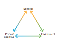 <p>Social Cognitive Theory</p>