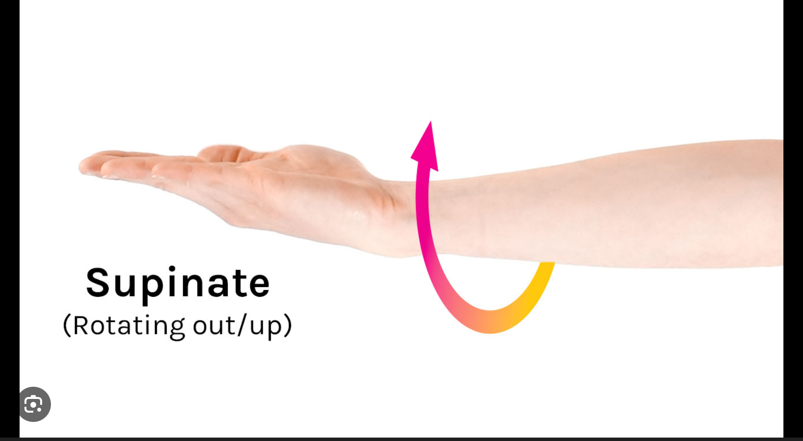 <p>External rotation or flip hand over (palm up)</p>