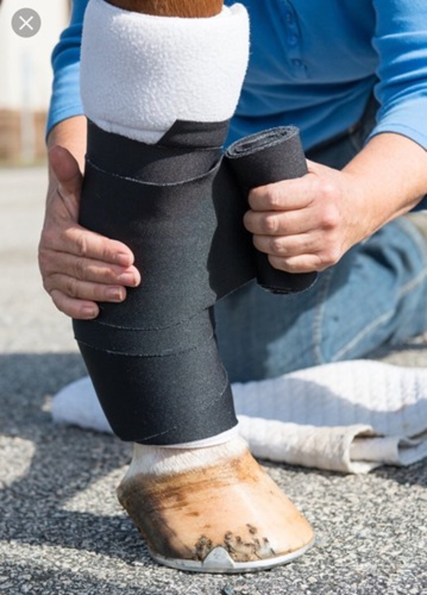 <p>Standing wrap</p>