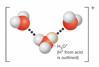 <p>It forms H<sub>3</sub>O<sup>+,</sup> since H<sup>+</sup> interacts strongly with H<sub>2</sub>O in an aqueous solution</p>