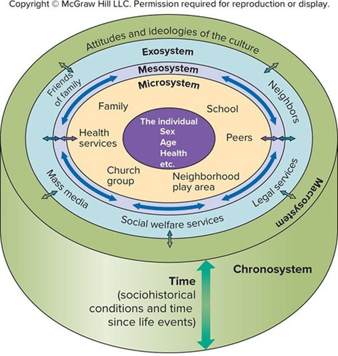 <p>Development influenced by multiple environmental systems.</p>
